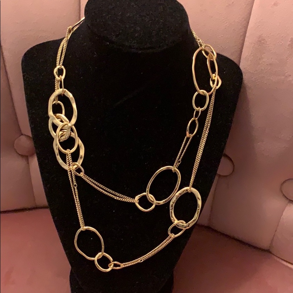 Long Organic Link + Chain Necklace